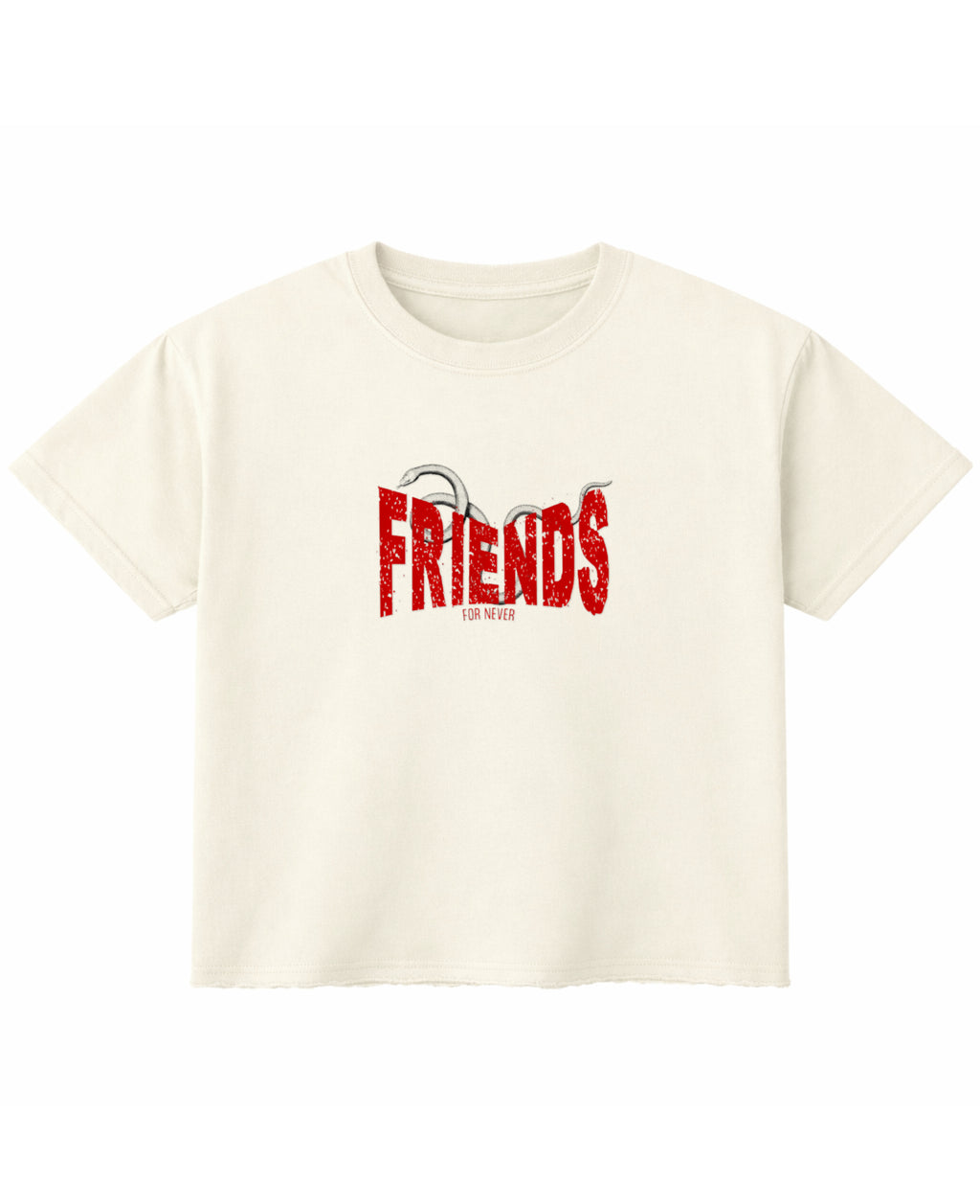Off White Boxy Fit T-shirt Front Design